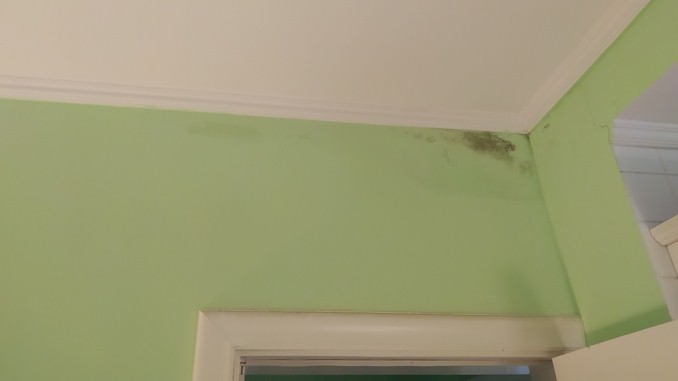 如何清除彩色牆面上的黴菌