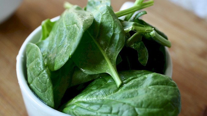 菠菜里的草酸真的会影响身体对钙的吸收吗？